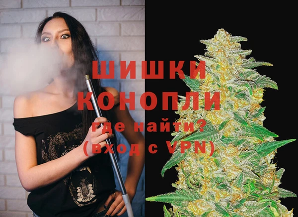 СК Надым