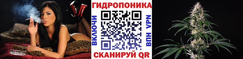 мега сайт  Заинск  Шишки марихуана сатива 